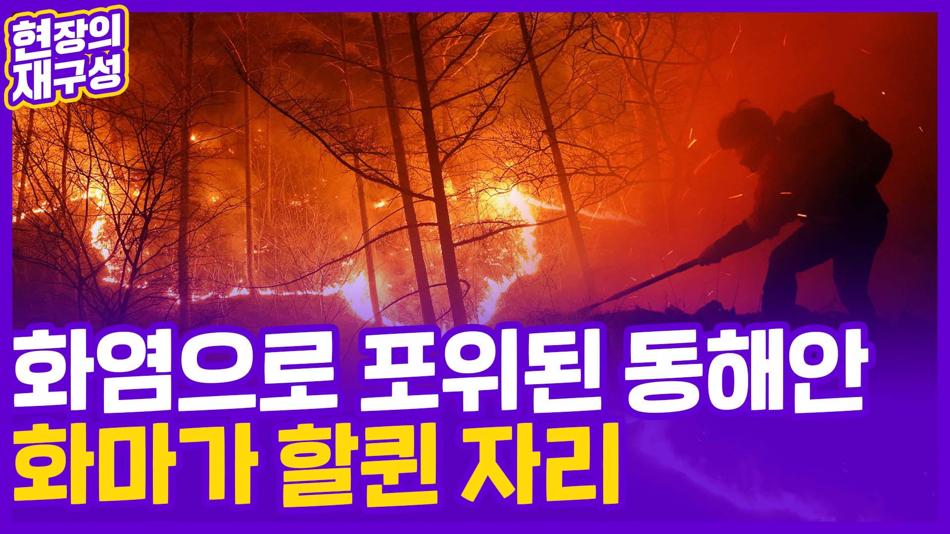 [현장의재구성] 화염으로 포위된 <em class='find'동해안</em…화마가 할퀸 자리