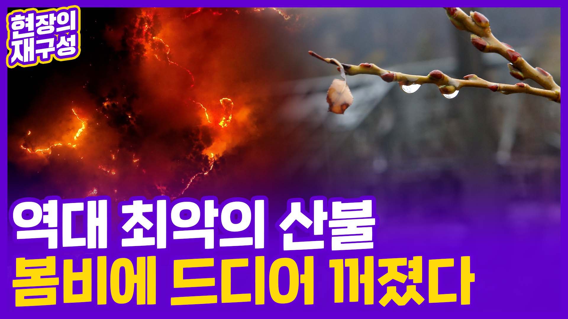 [현장의재구성] 역대 최대피해 남긴 <em class='find'동해안</em 산불…마침내 꺼졌다