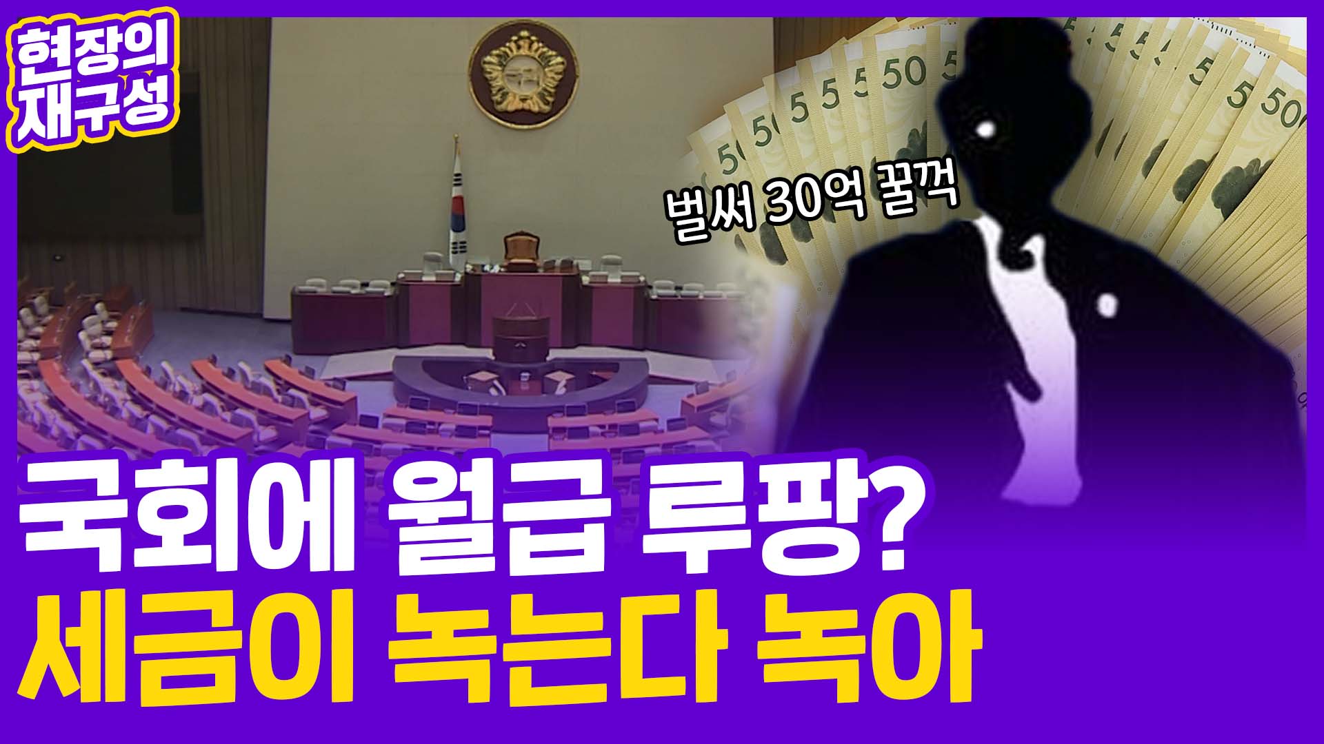 [현장의재구성] 국회에 루팡이 또 등장했다 …내 <em class='find'세금</em 살살 녹네