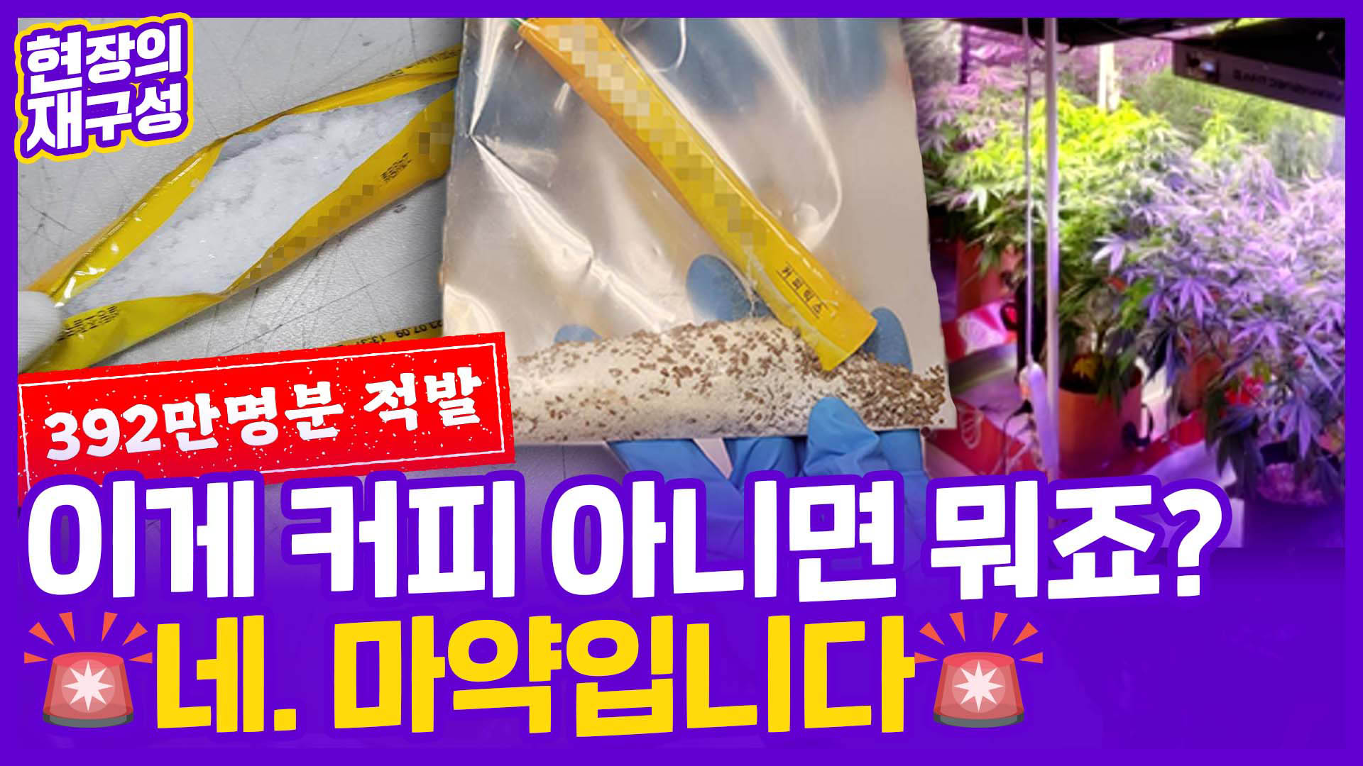 [현장의재구성] <em class='find'초콜릿</em 가르자 '우수수'…마약 청정국은 옛말