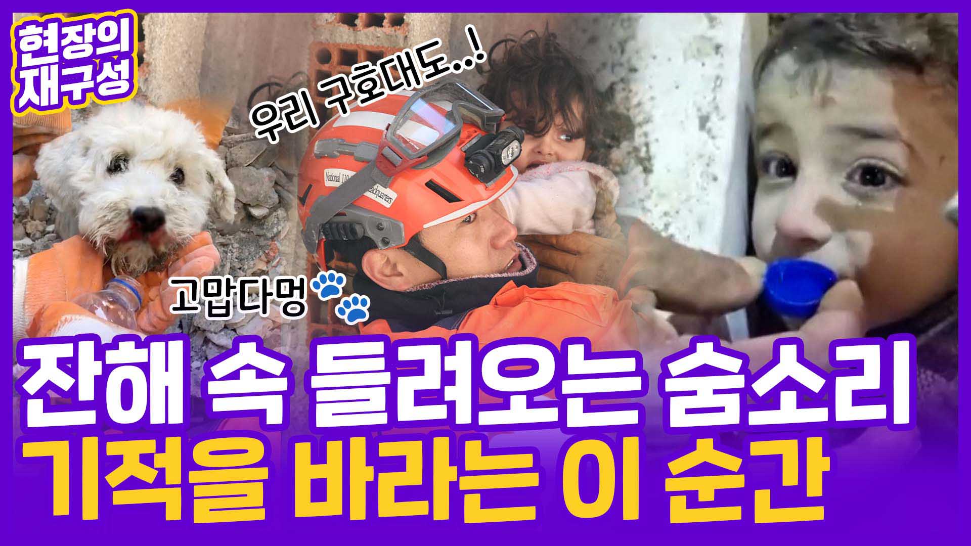 [현장의재구성] 신생아부터 고양이까지…기적 같은 <em class='find'구조</em 순간들