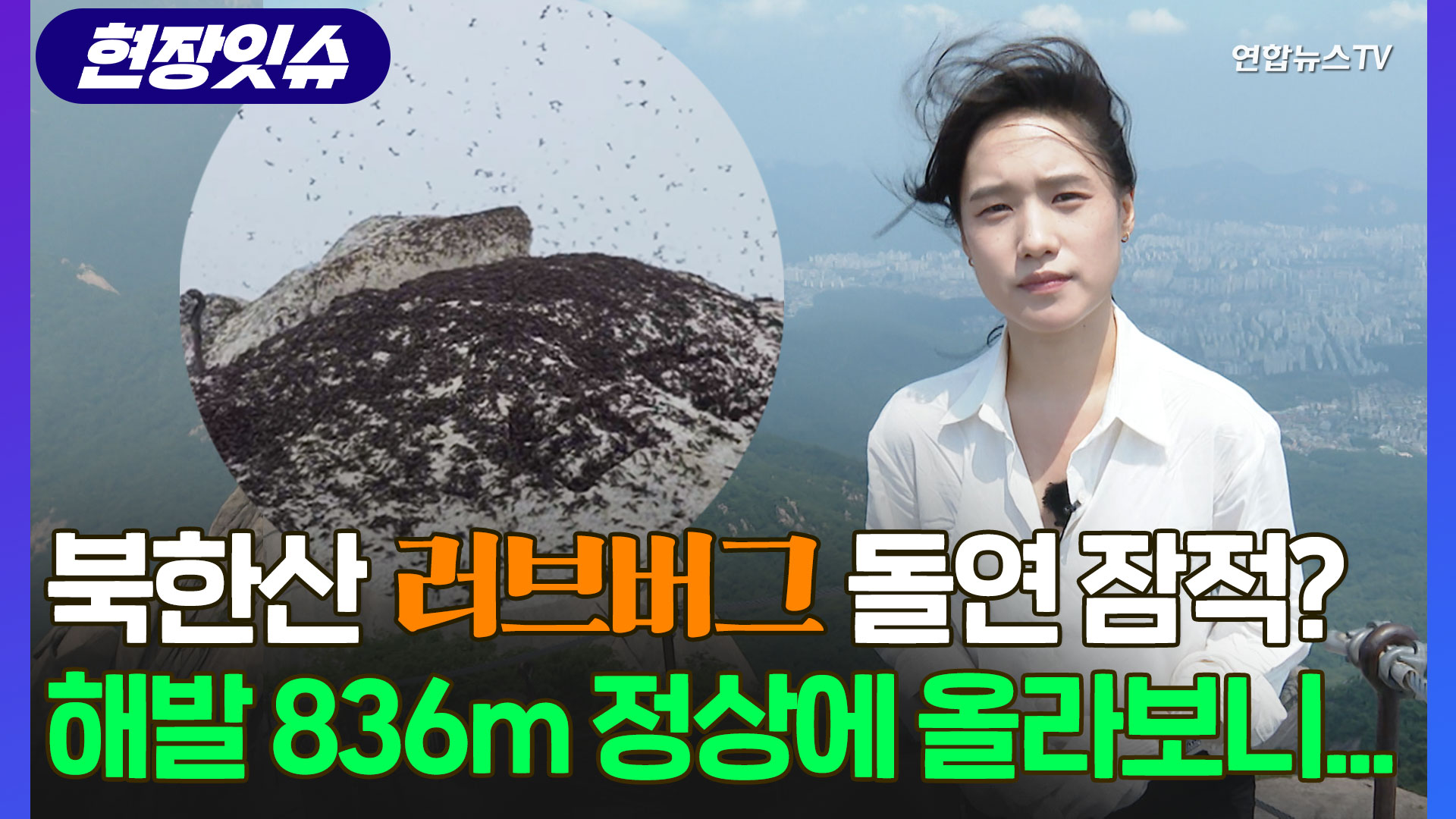 [현장잇슈] <em class='find'온라인카지노 장점 벳무브</em 러브버그 돌연 잠적? 해발 836m 정상에 올라보니…