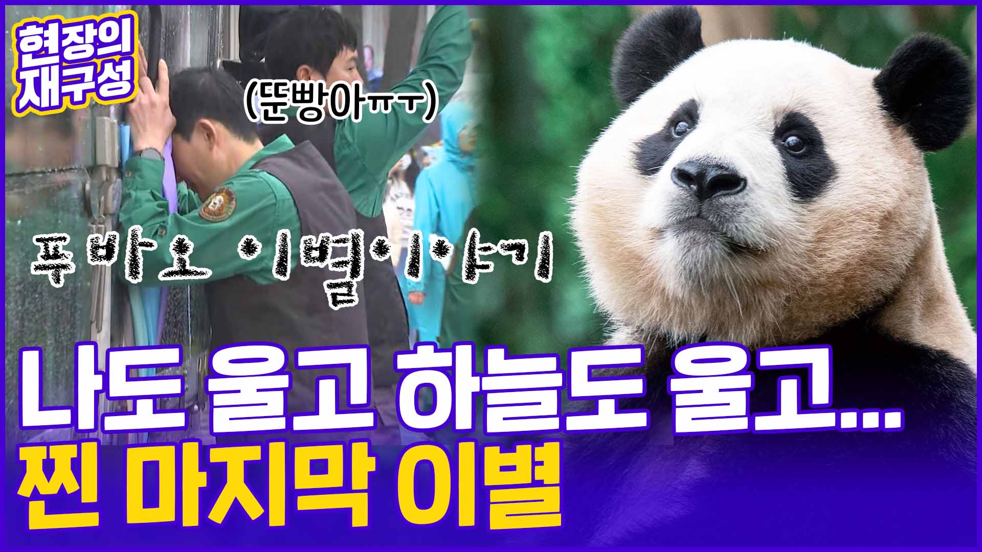 [현장의재구성] "넌 우리의 영원한 아기판다야"…눈물의 마지막 <em class='find'인사</em