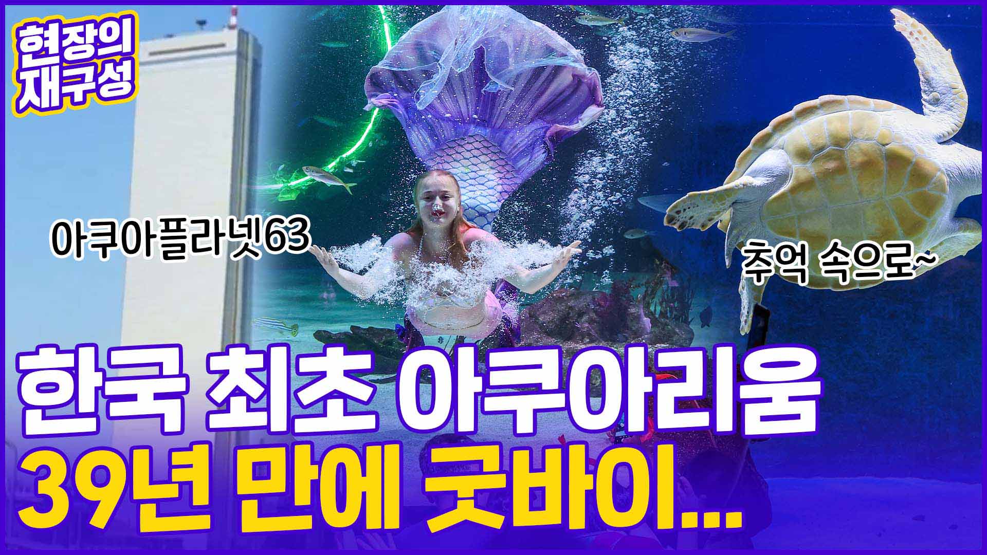 [현장의재구성] 각종 "한국 최초" <em class='find'아쿠아리움</em '굿바이' 39년 만에 폐관