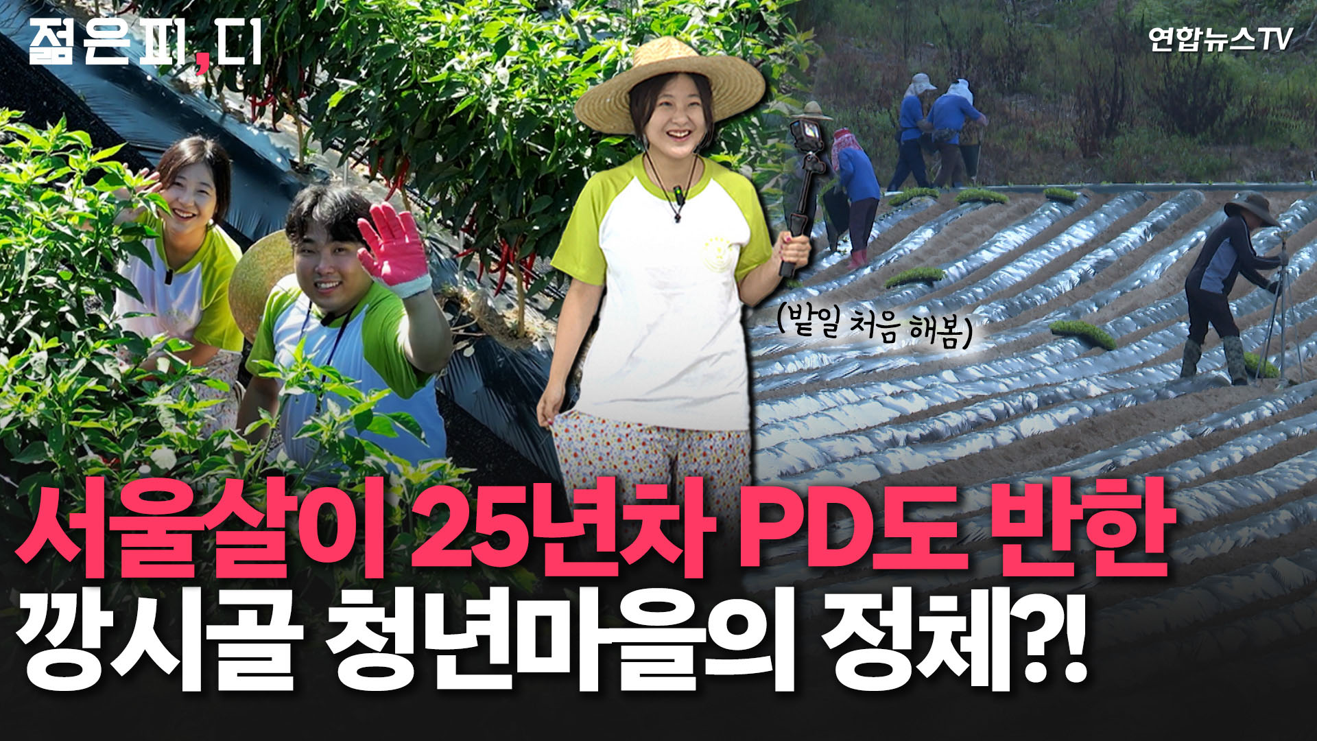 [젊은피,디] '57세가 최연소'였던 <em class='find'고령화</em 마을에 도시MZ들이 눌러앉은 사연은?!