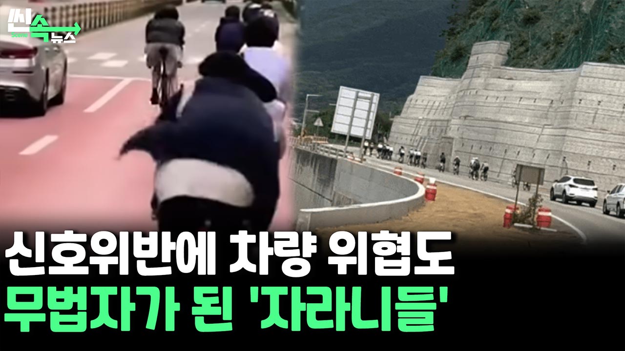 [씬속온라인카지노 벌금 벳무브] 신호위반은 기본, 달리는 차 위협도…<em class='find'온라인카지노 벌금 벳무브</em 위 무법자들 '자라니'