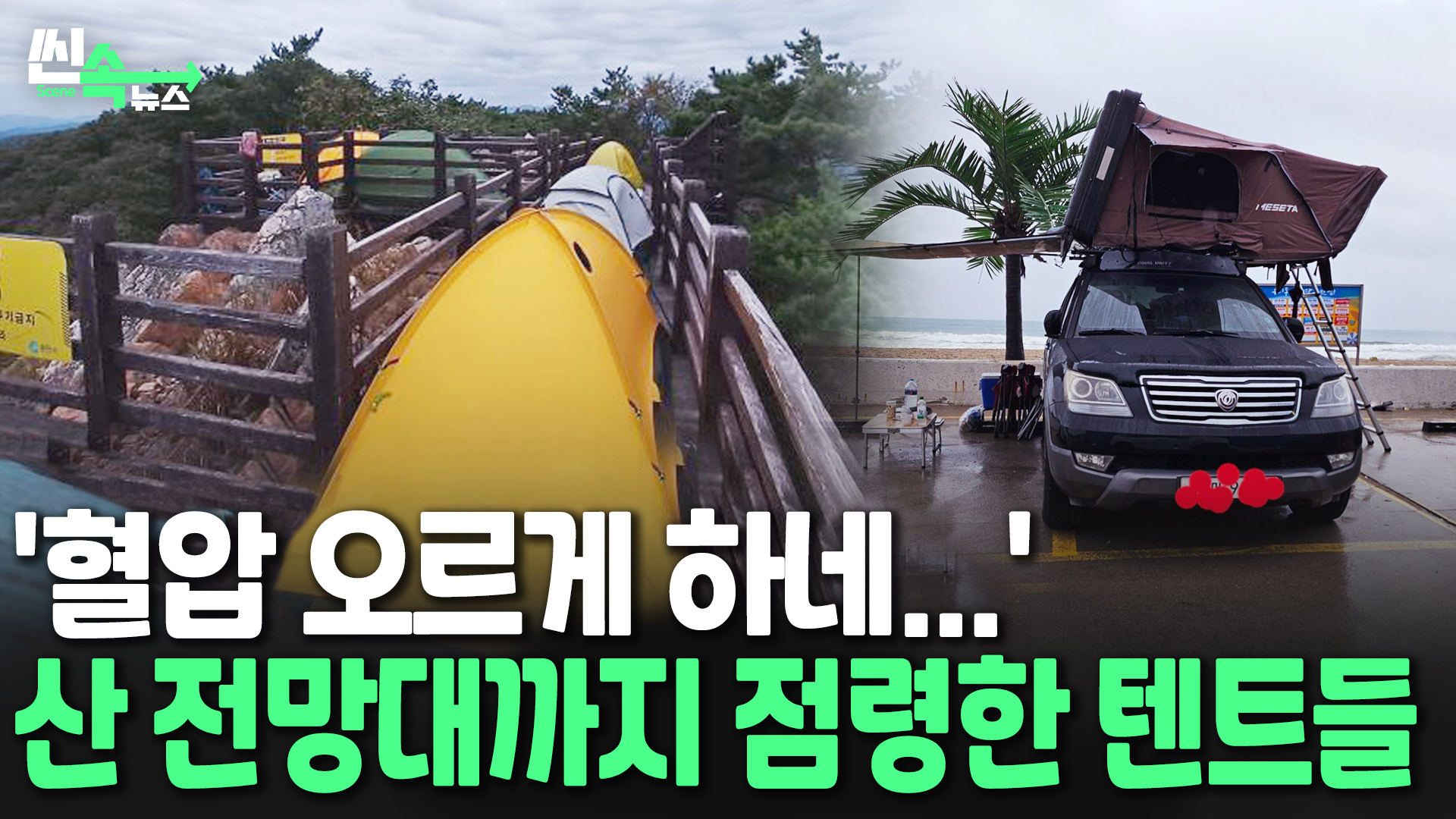 [씬속온라인카지노 벌금 벳위즈] 버라이어티한 <em class='find'아침</em?…전망대 점령한 민폐 캠핑족에 부글부글