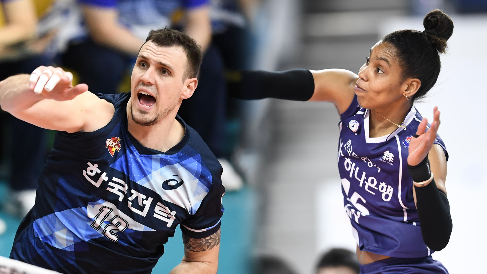 가빈·산체스, 조기 귀국 확정…배구 외인 4명 떠나