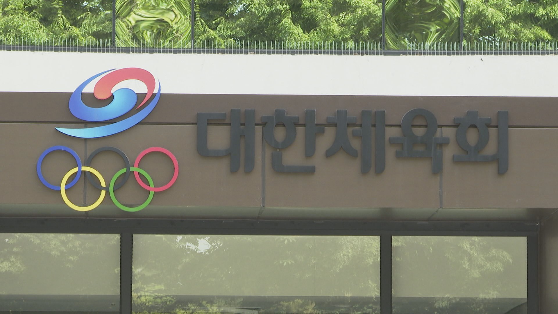 철인3종 선수 사망에 대한체육회 엄중 조치 예고