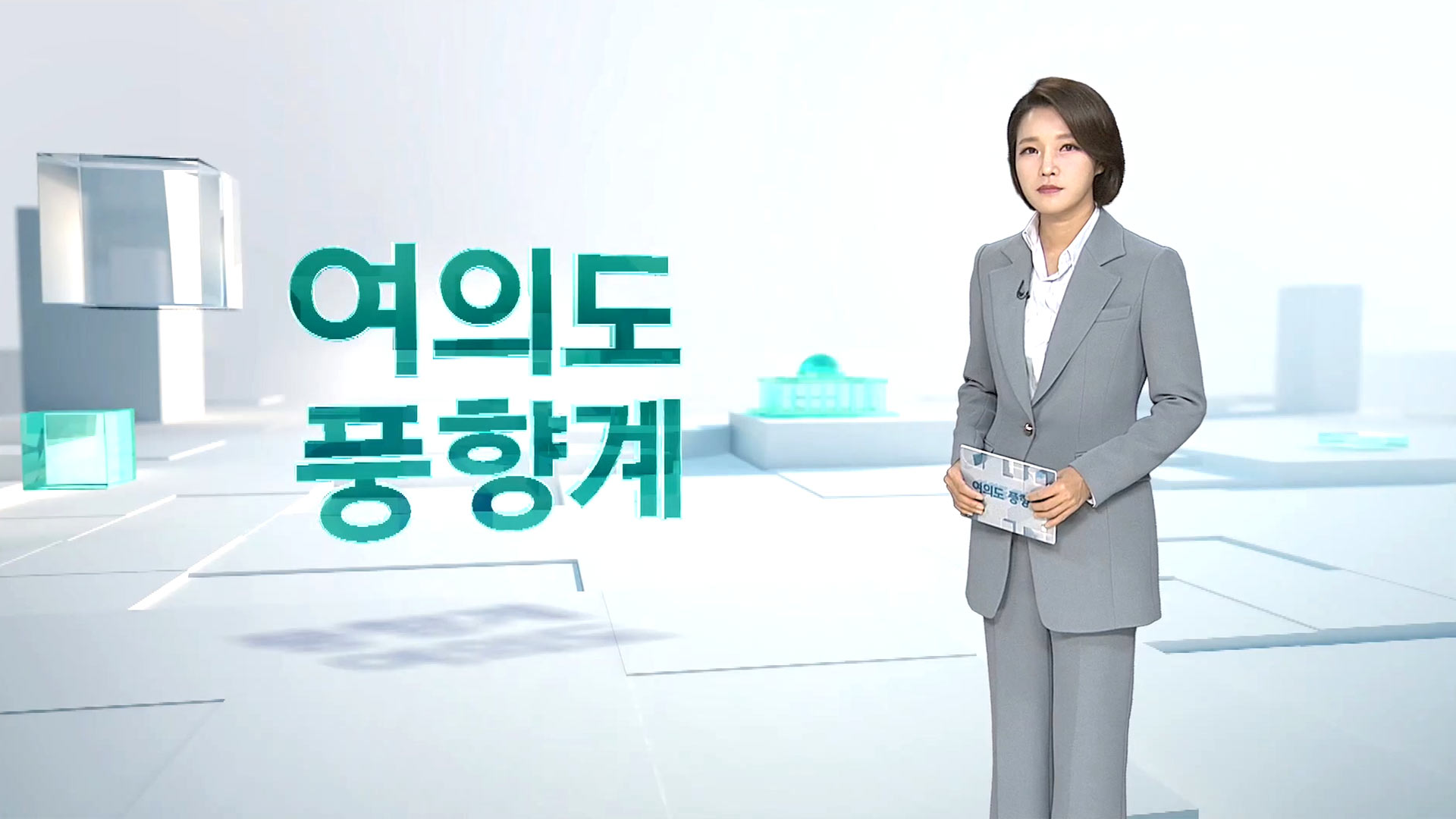 [여의도풍향계] 대선 길목에 드리운 두 개의 화두…개헌론 vs 사면론