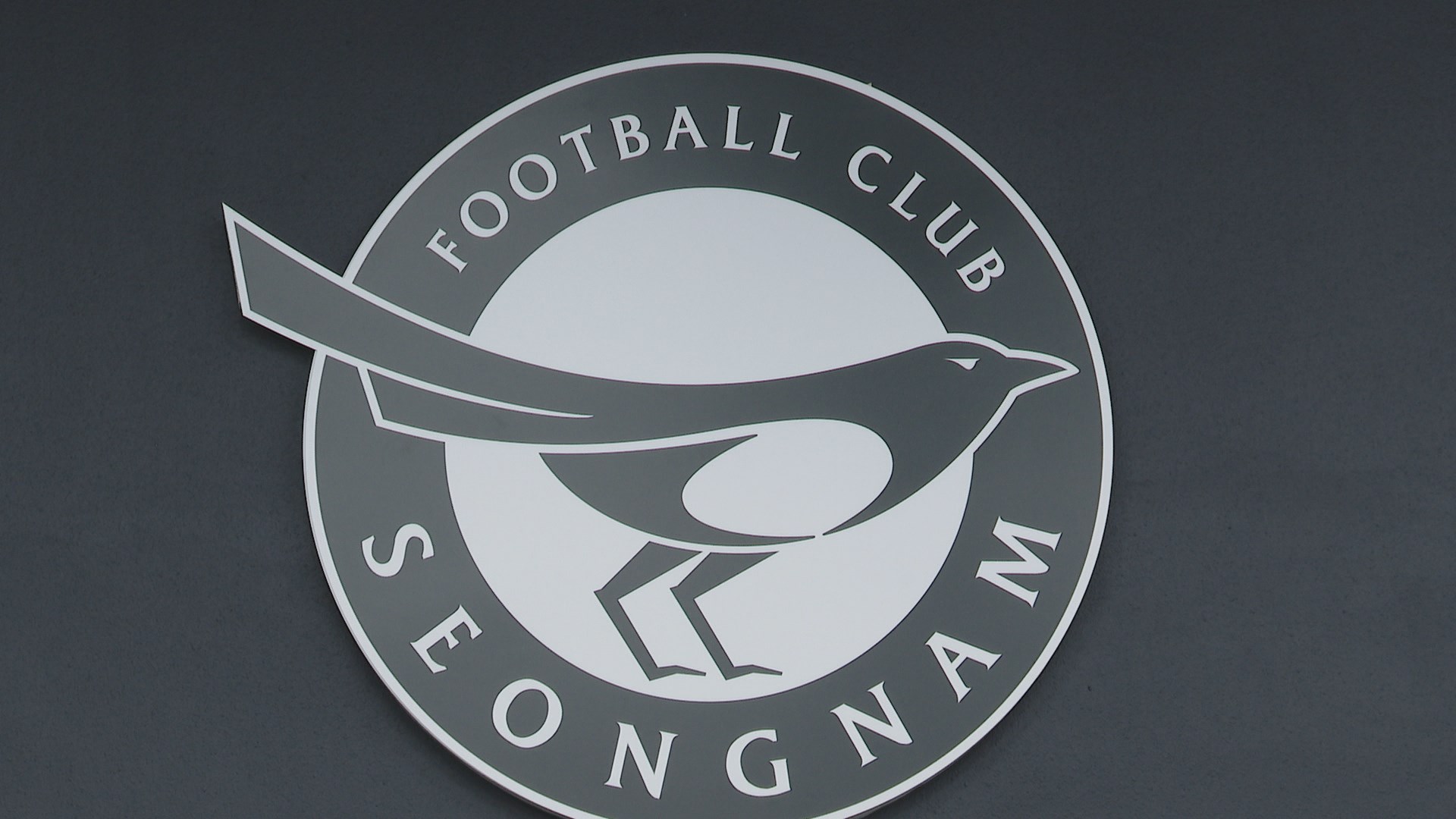 <em class='find'온라인카지노 벳위즈</em 성남 코치 코로나 확진…선수단 전원 검사