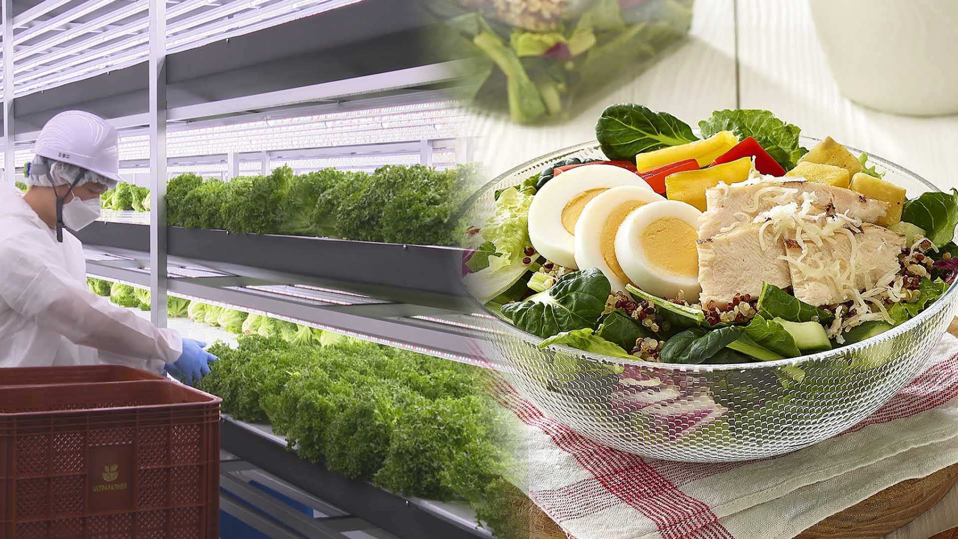 "먹어도 살 안 찐다"…저칼로리 간편식 샐러드 인기