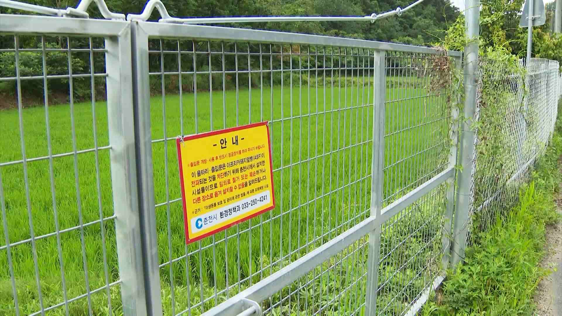 ASF 저지 목적 1,600km 광역울타리 '애물단지'…처리 고심