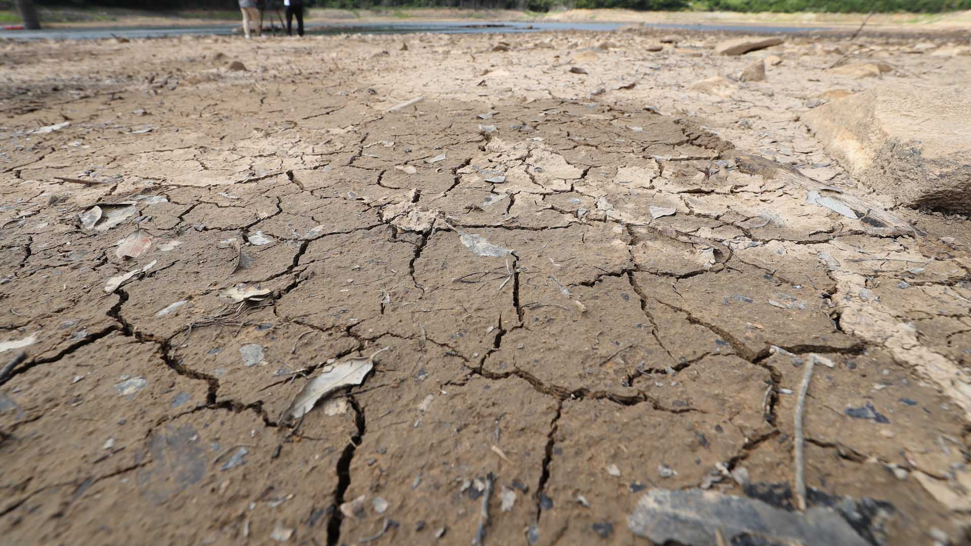 "마실 물도 없어요"…극심한 마이다스 온라인카지노 유니벳에 목 타는 섬마을