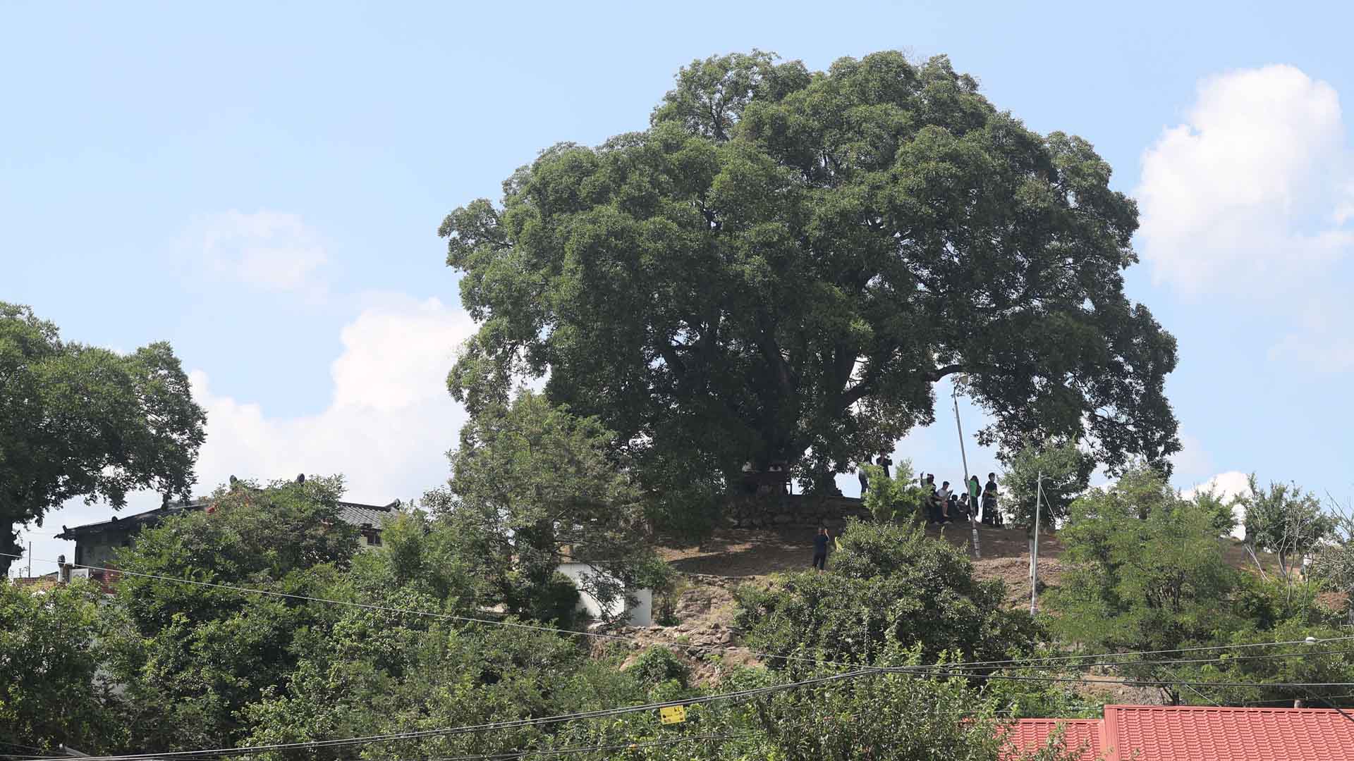 드라마 인기에…온라인카지노 조작 벳위즈·창원 '우영우 관광지' 북적