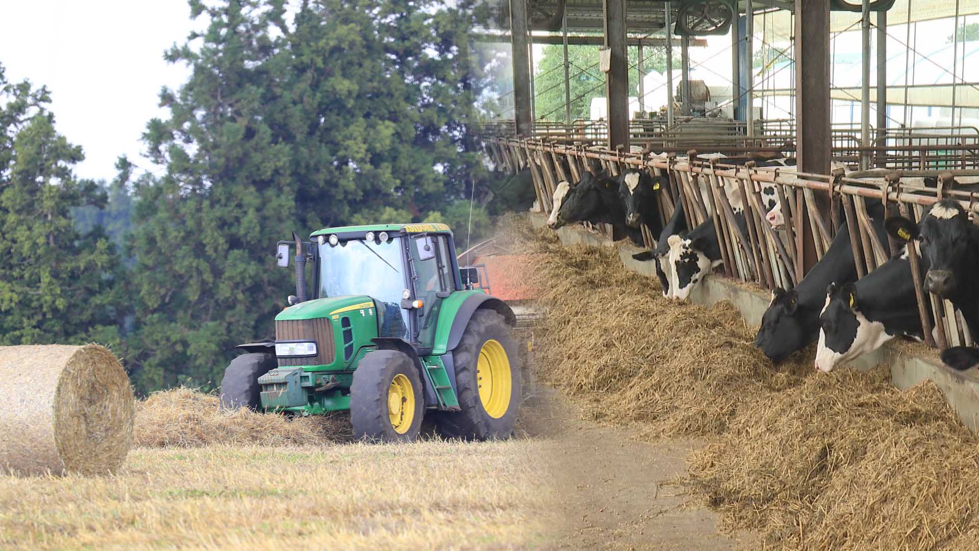 수입 의존 '건초 사료'…생산기술 국내 온라인카지노화 성공