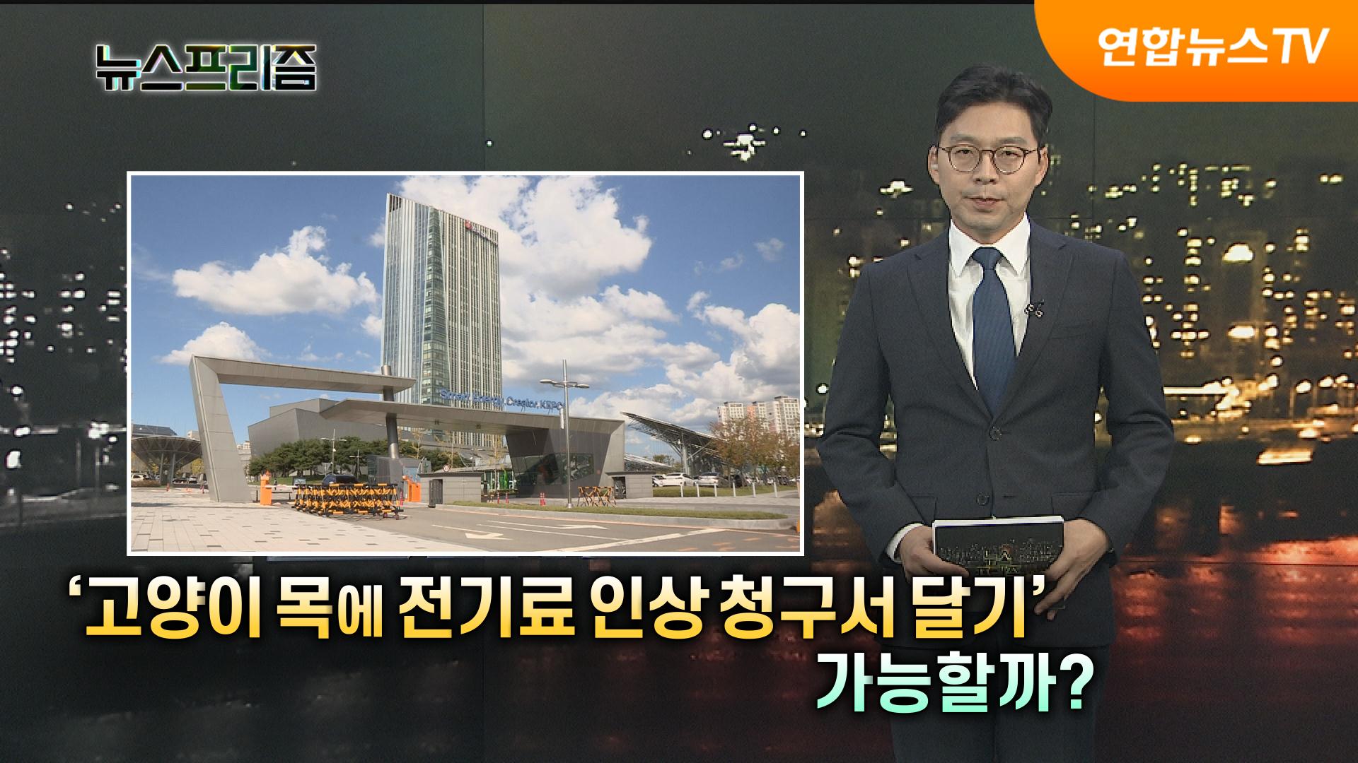 '고양이 목에 전기료 인상 청구서 달기' 가능할까?  [탐사보도 온라인카지노 후기 유니벳프리즘]