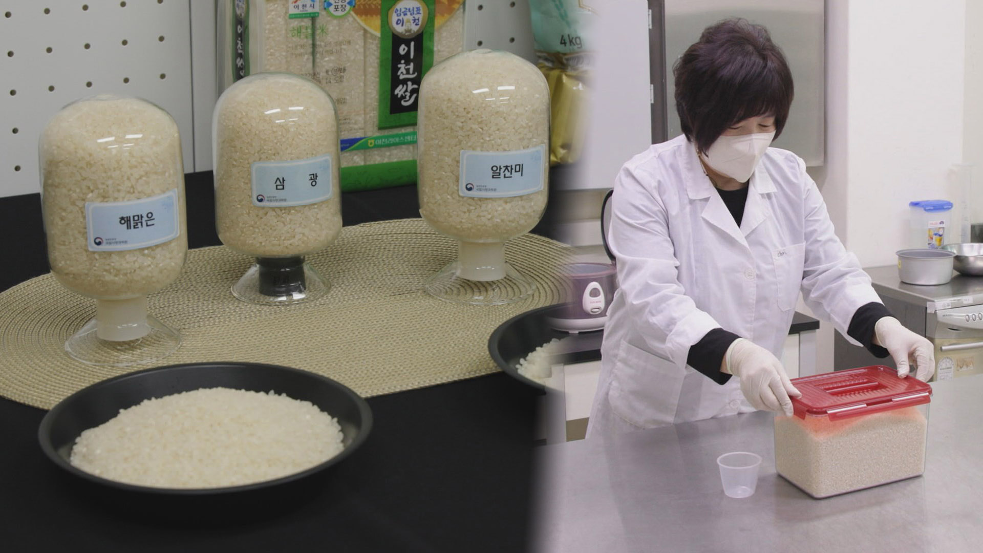 "밥맛 좋은 쌀은 따로"…품종에 보관법도 중요