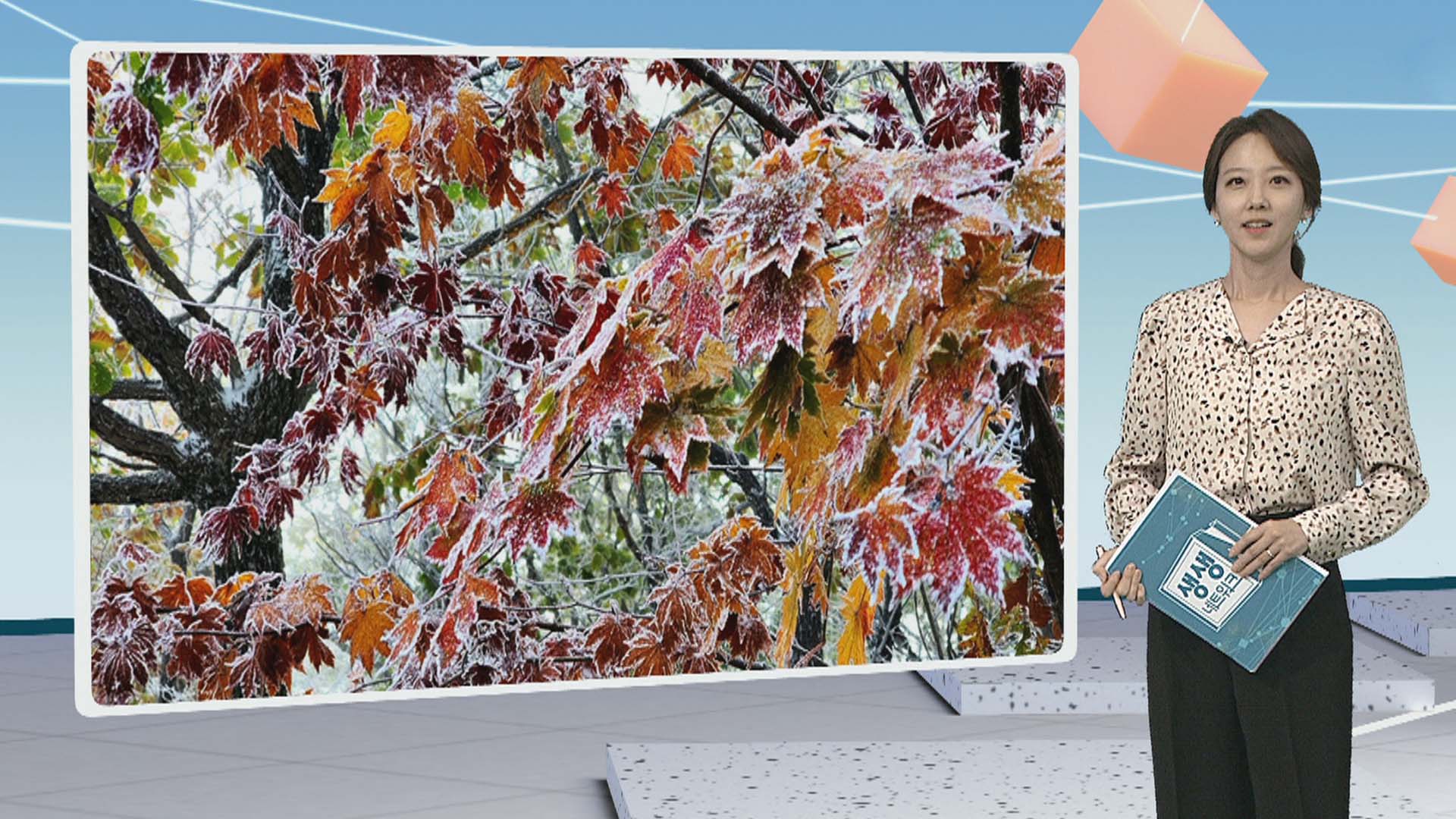 [생생갤러리] 가을과 겨울의 경계 外