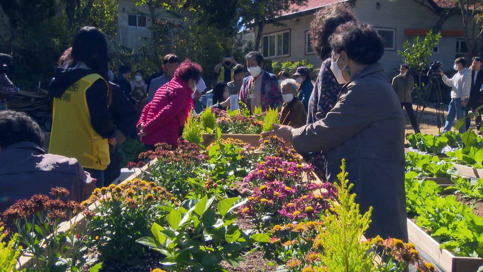 텃밭식물 가꾸자 치매·우울증 줄었다…치유마이다스 온라인카지노 유니88벳 각광