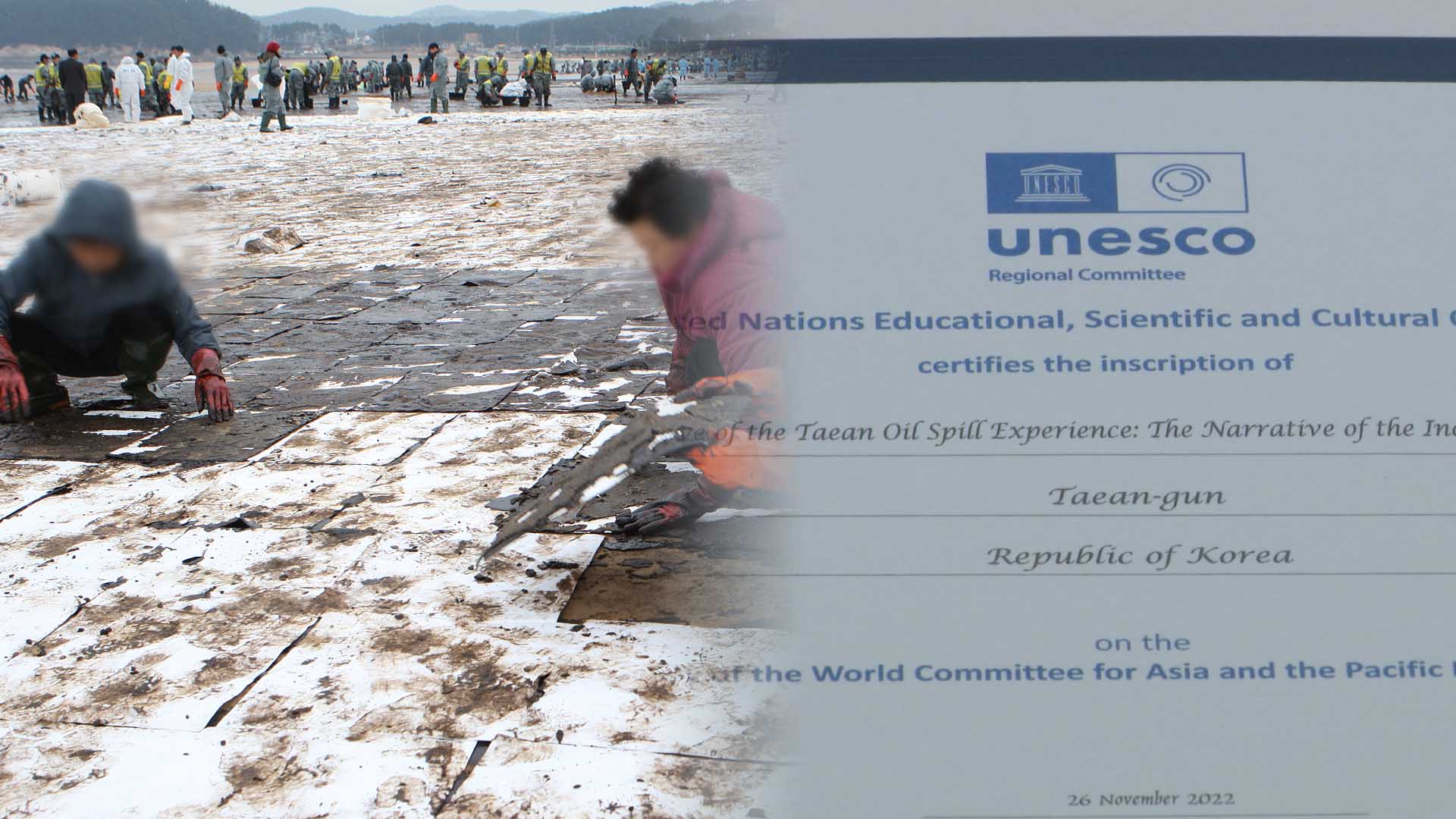 절망에서 희망으로…태안 유류피해 해외 온라인카지노 벳위즈물 세계유산 등재