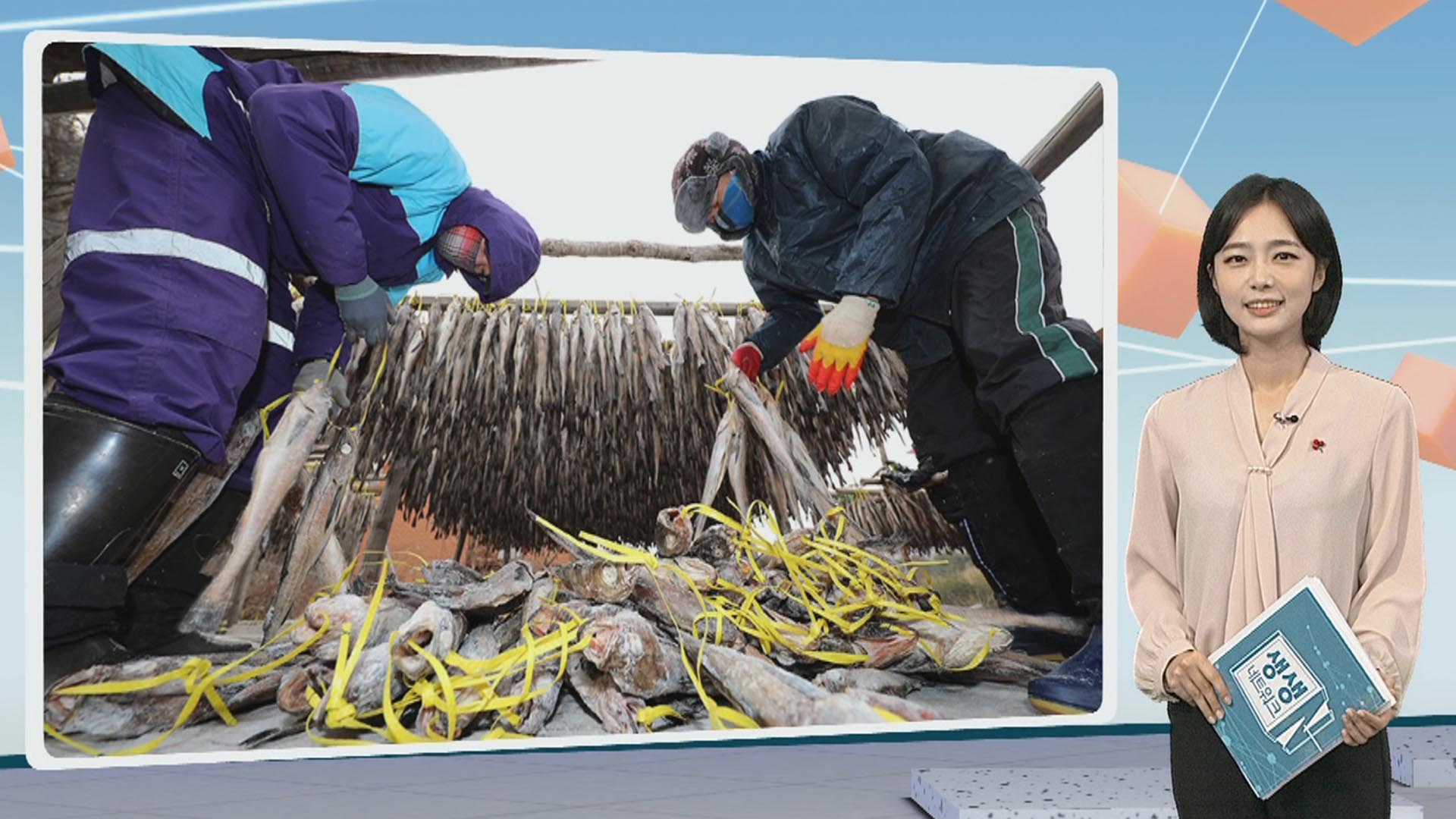 [온라인카지노 유니88] '추위야 반갑다!' 강원 황태마을 外