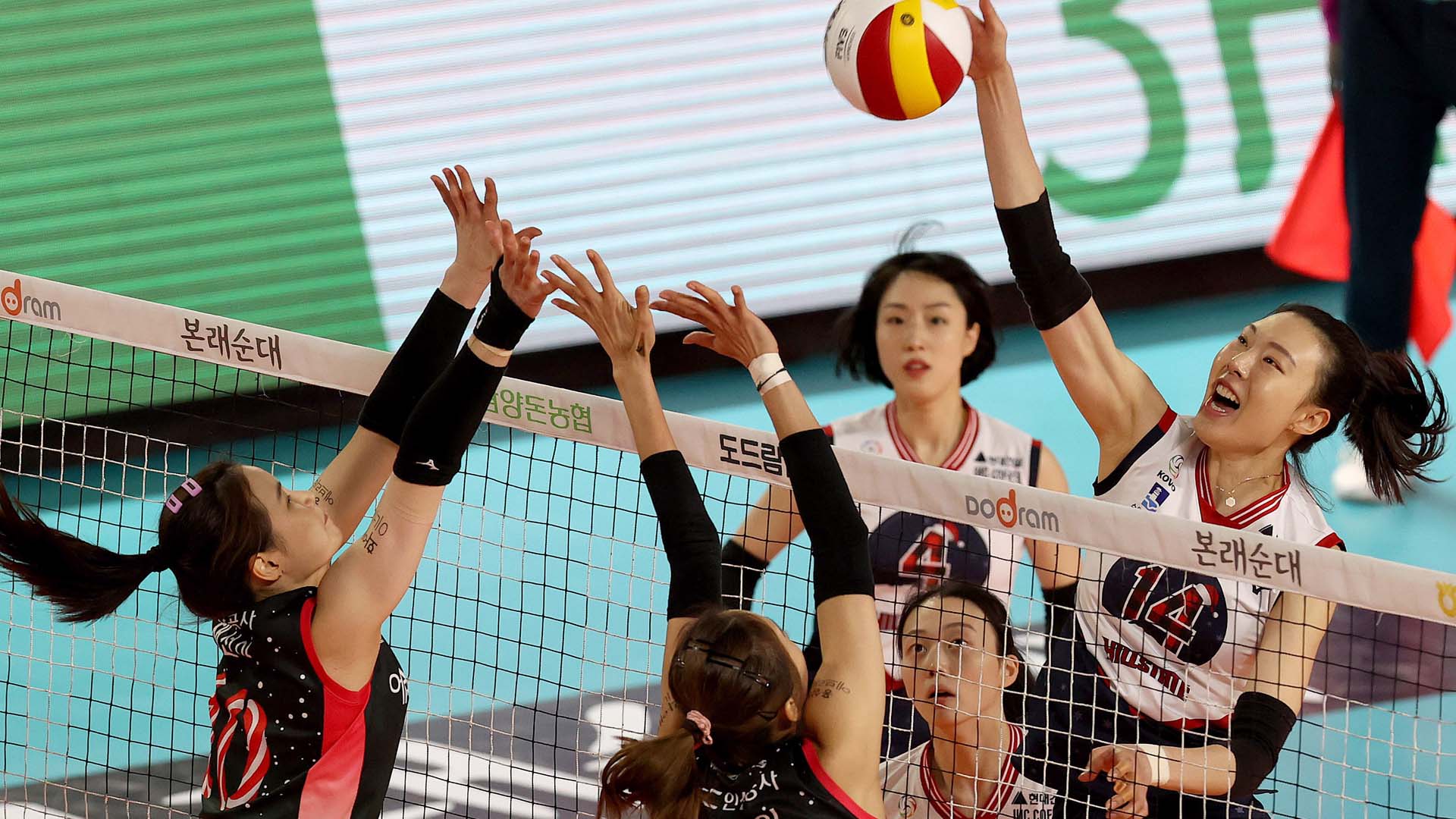 여자배구 현대건설, 단일시즌 최다 연승 실패…인삼공사에 덜미