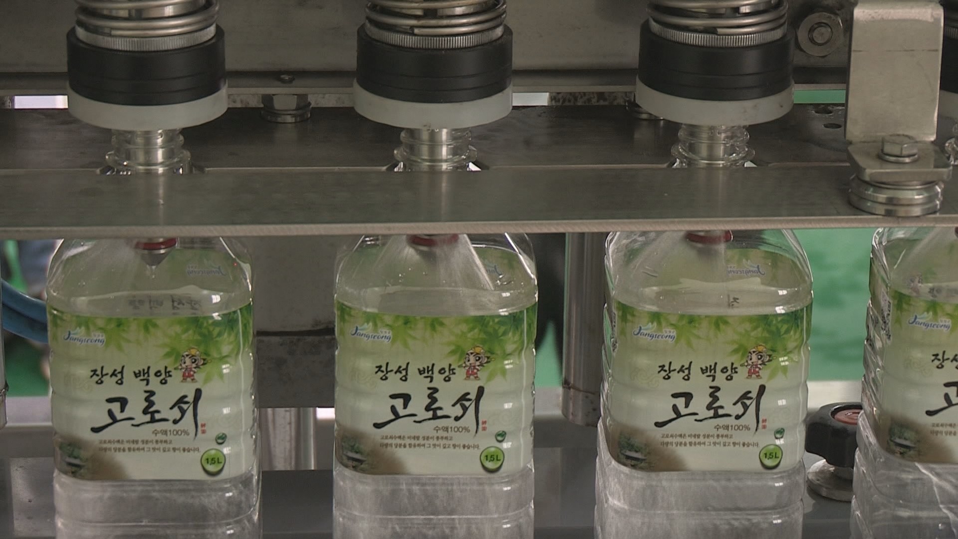 봄기운 담긴 '귀한 <em class='find'물</em'…장성 고로쇠 수액 채취 한창