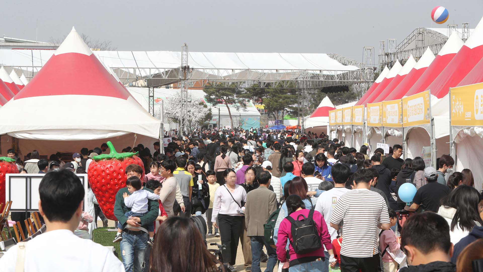 세계 딸기 엑스포를 향해…논산 딸기 축제 개최
