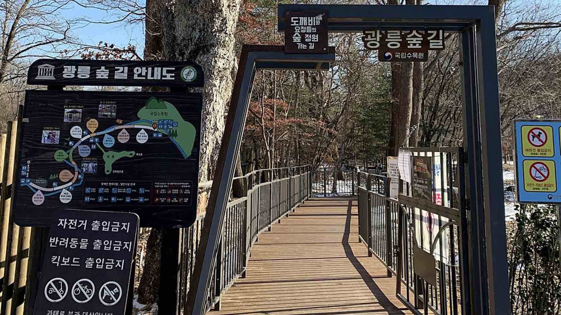 기지개 켜는 광릉숲 동식물…생동하는 국립수목원