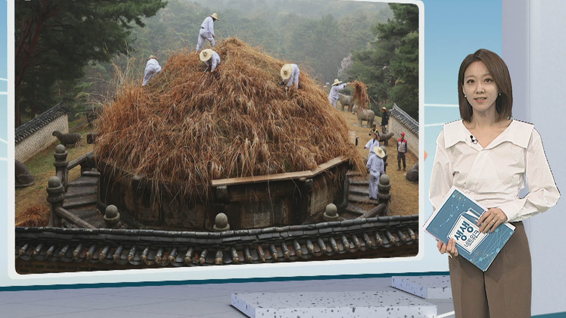 [생생갤러리] 한식날 이성계릉 '억새 베기' 外