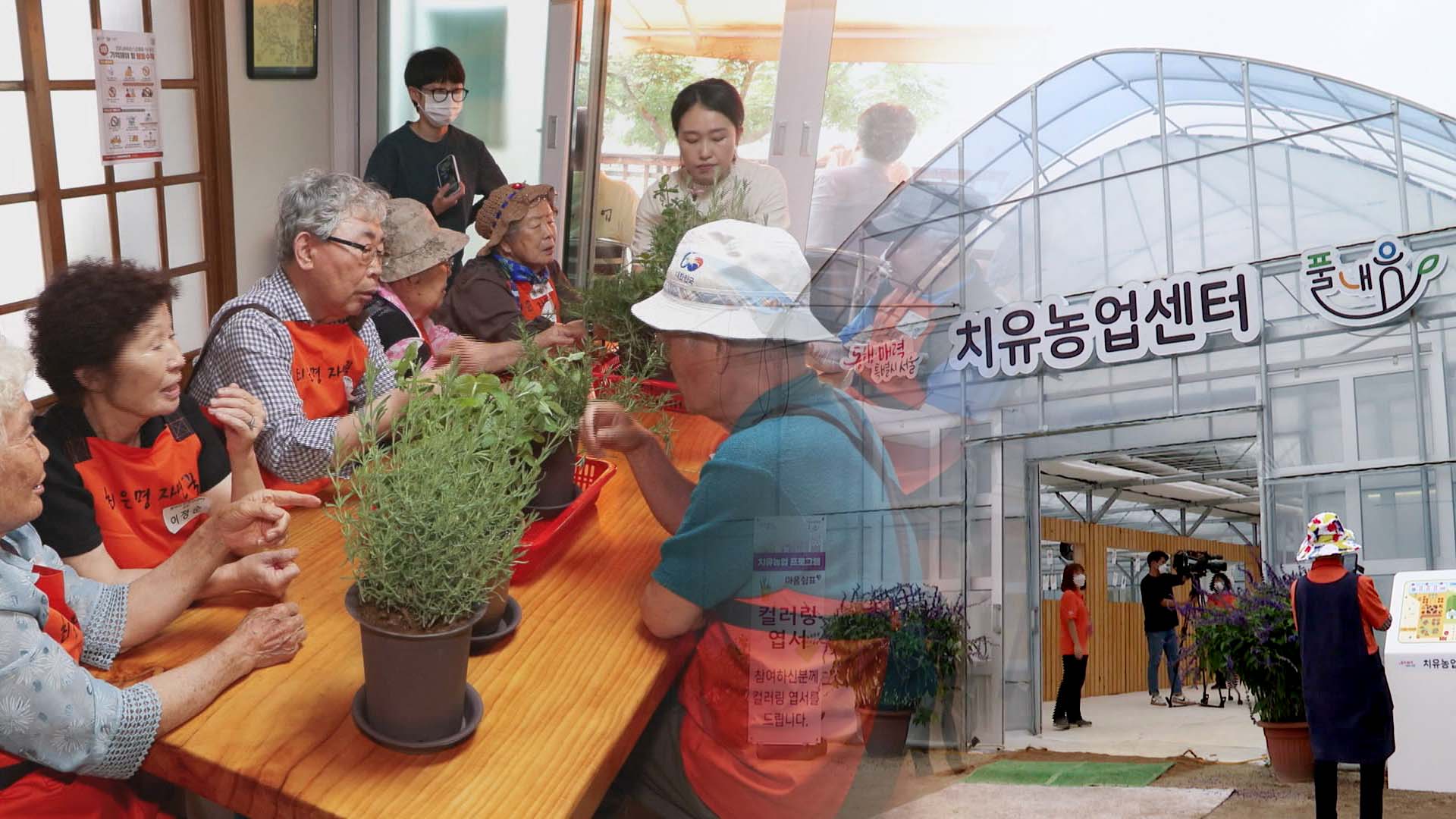 농사체험…노인 '인지장애·우울증' 개선 효과