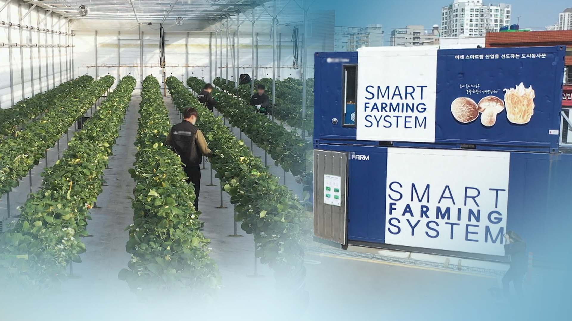 첨단농업시설 '스마트팜'…교육시설 대폭 확충