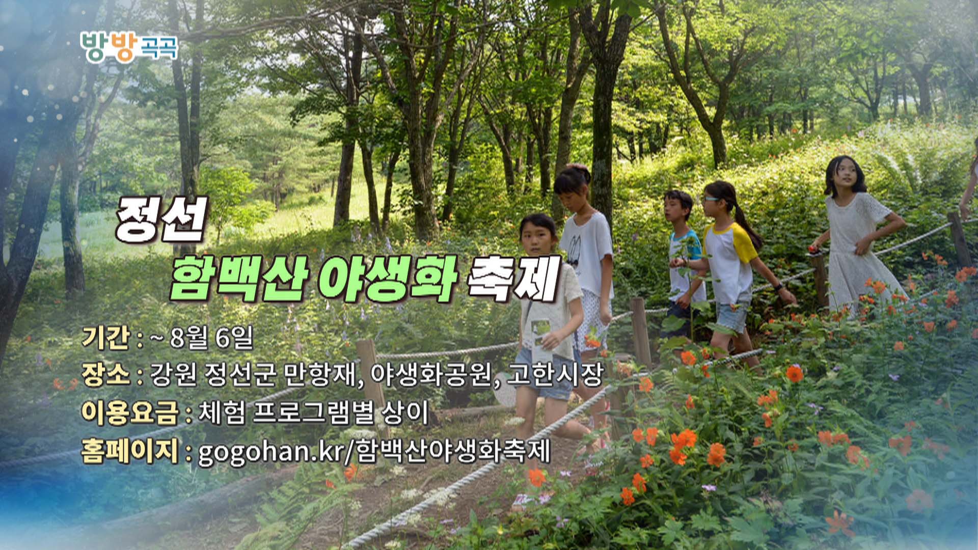 [영상구성] 방방곡곡