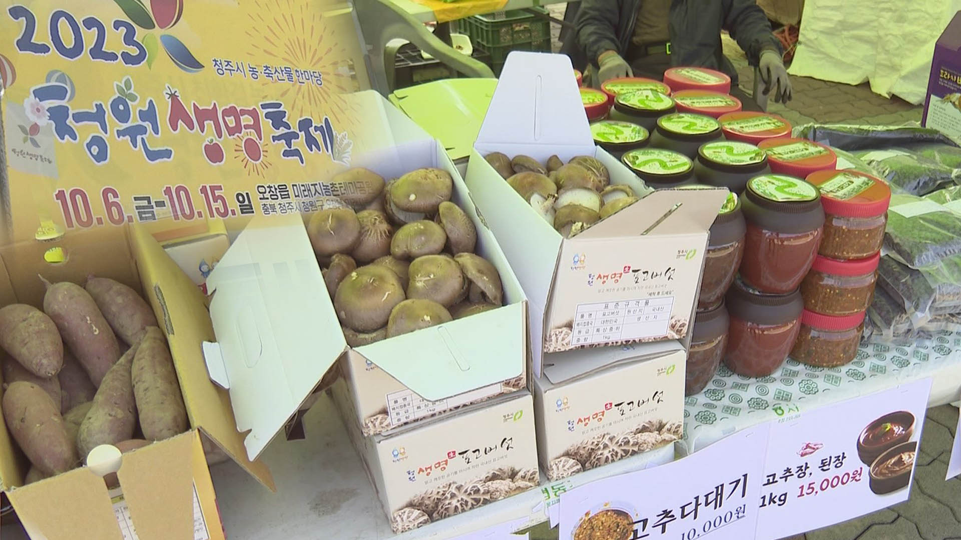 전국 최대 친환경농산물 장터 '청주 청원생명축제'…연일 인파