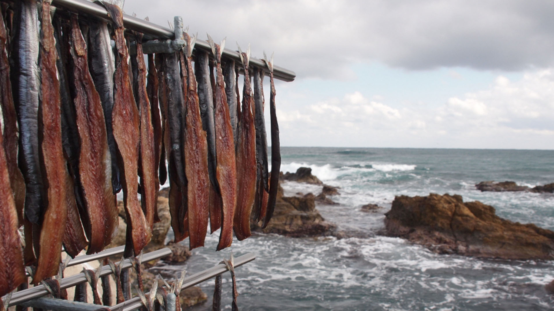 돌아온 '과메기의 계절'…포항 과메기 첫 출하