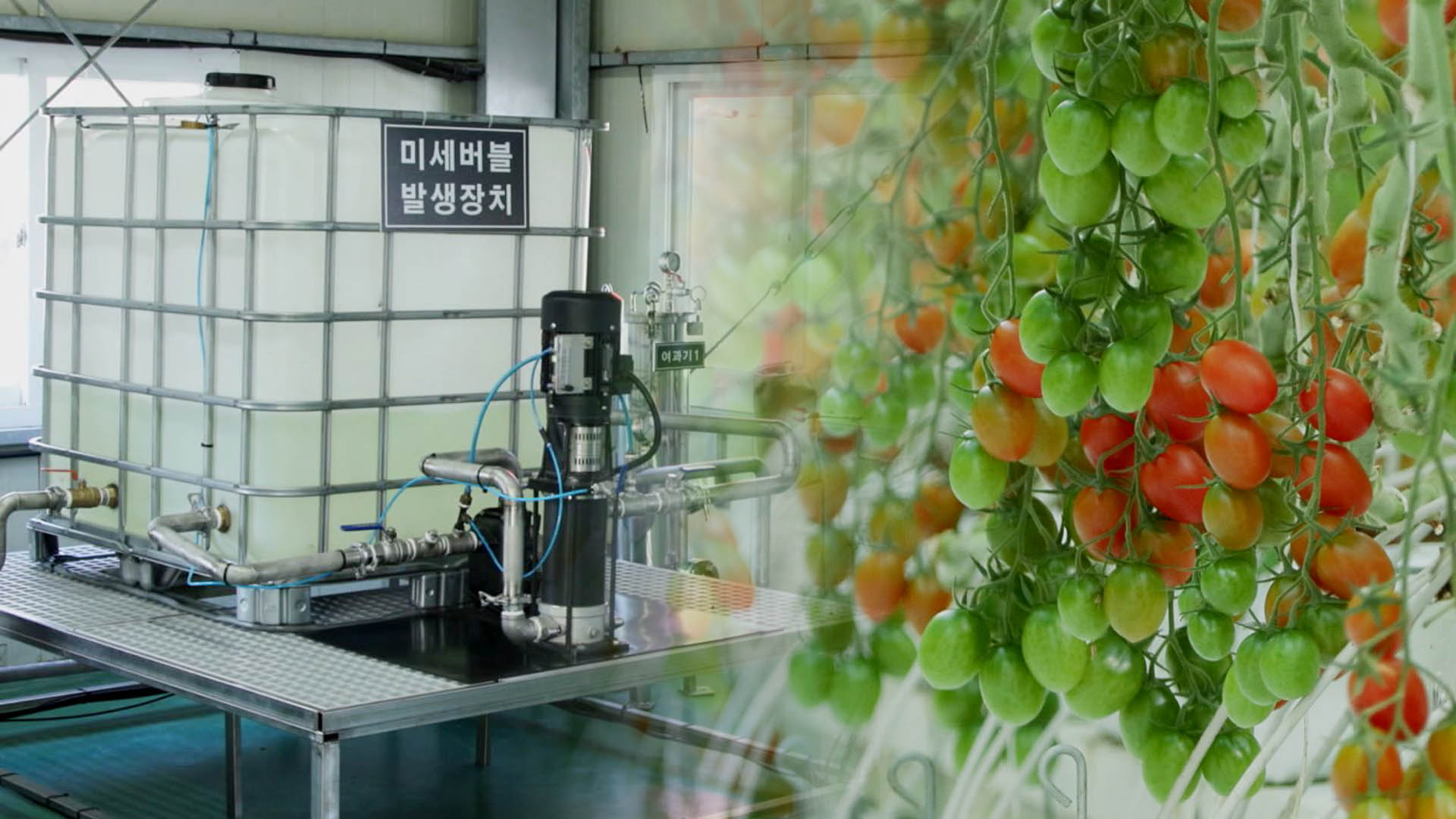 양액살균 기술 국산화 성공…영농비 절감·환경보호