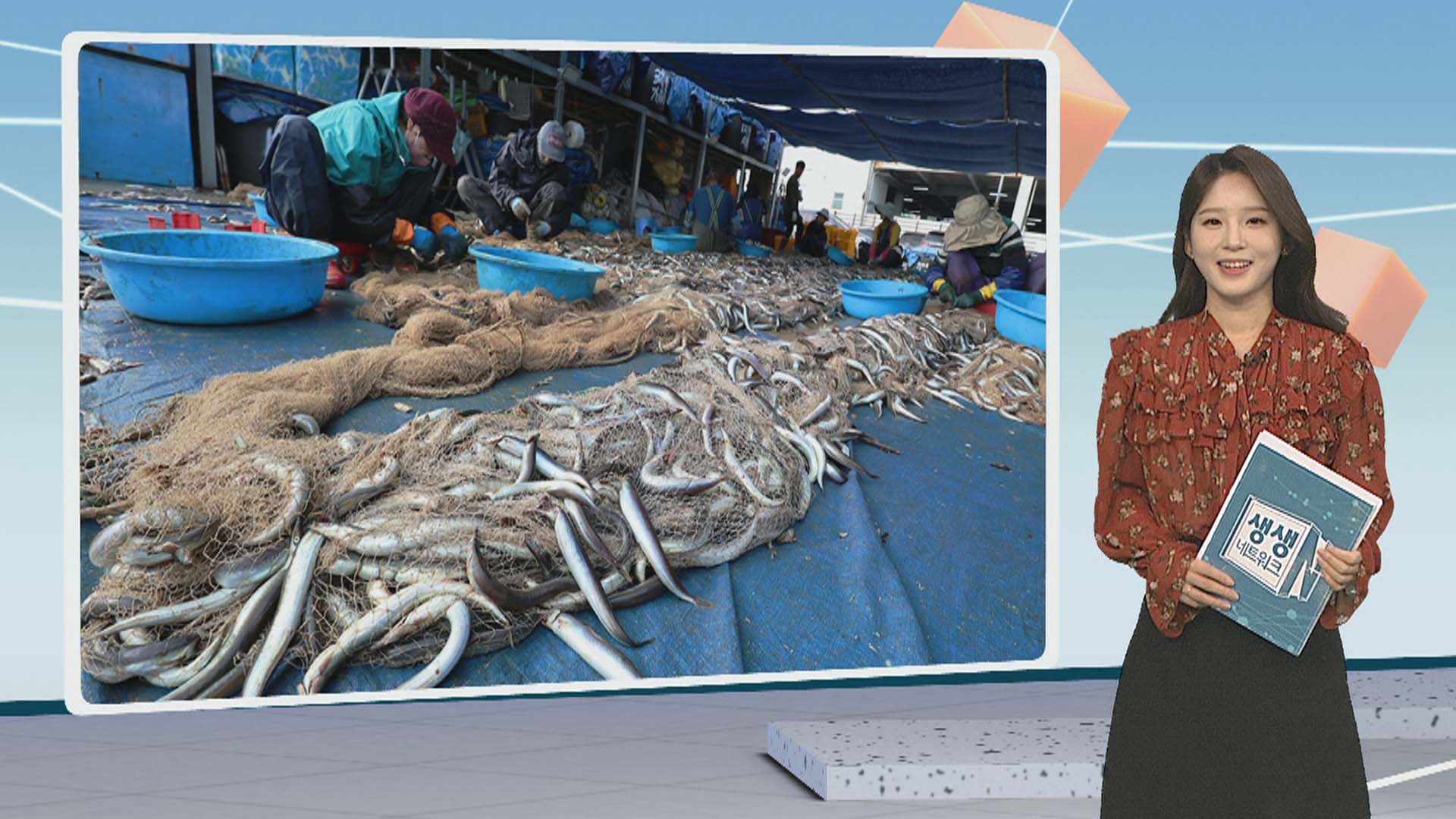 [우리카지노추천] 동해안 '겨울 별미' 양미리 조업 시작 外