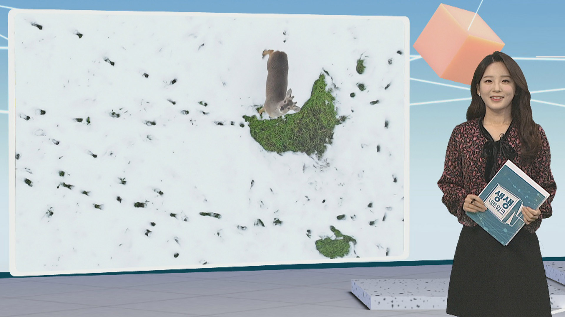 [생생갤러리] 새하얀 설원 속 노루 한 마리 外