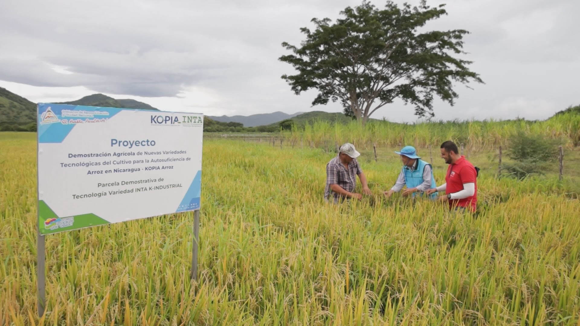 니카라과에 퍼지는 K-농업기술…빈곤·식량난 해결 한몫