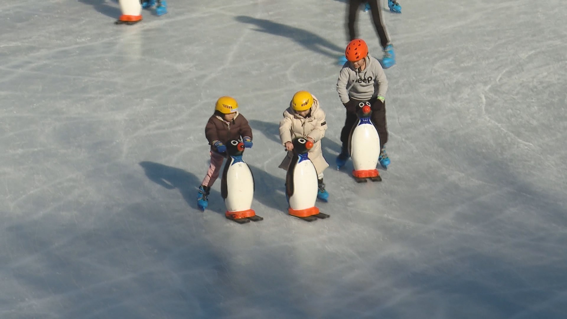 도심 속 야외 스케이트…'울산 꿀잼빙상장' 인기