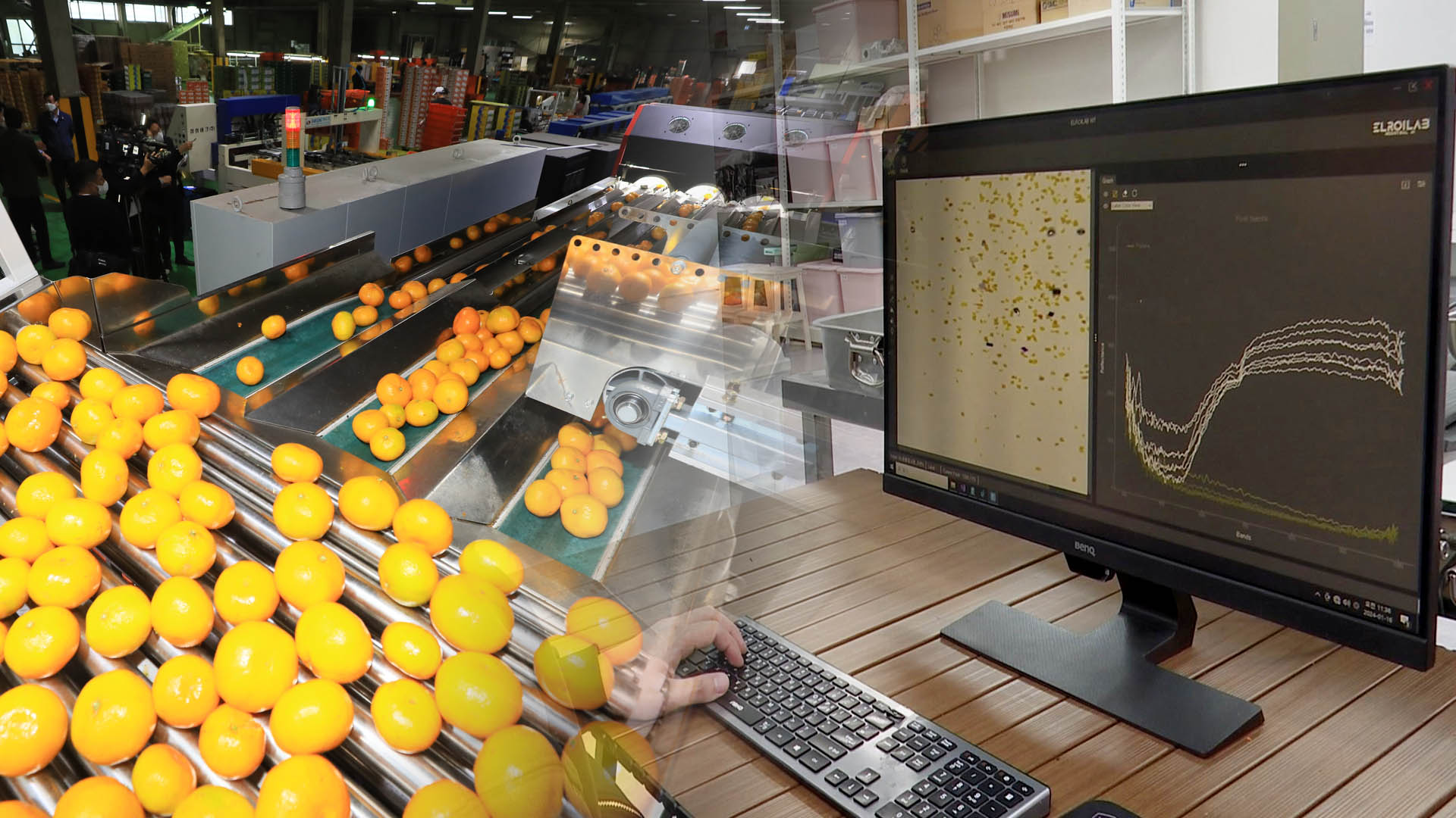 농업도 인공지능 <em class='find'온라인카지노 합법 유니벳</em 시대…이물질 족집게 선별