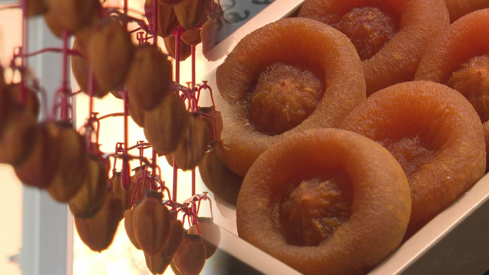 온라인카지노 불법별미 '산청곶감'…올해 생산량 줄어 '더 귀하신 몸'