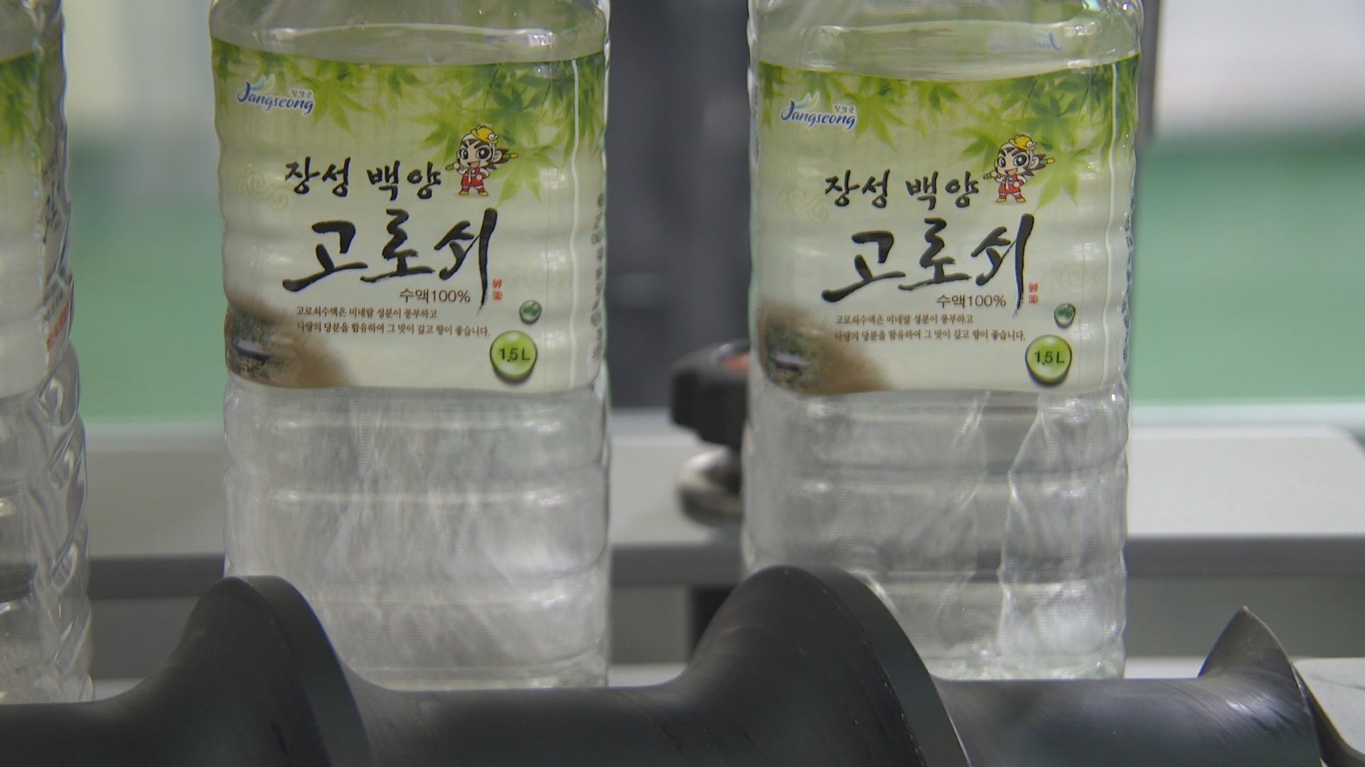 건강에 좋은 장성 고로쇠 채취 한창…명절 선물로 인기