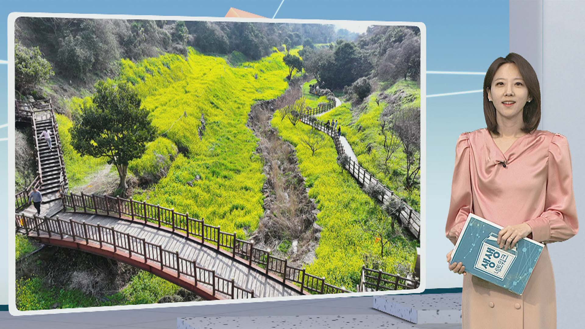 [생생갤러리] 서귀포 엉덩물 온라인카지노 롤링에 찾아온 봄 外