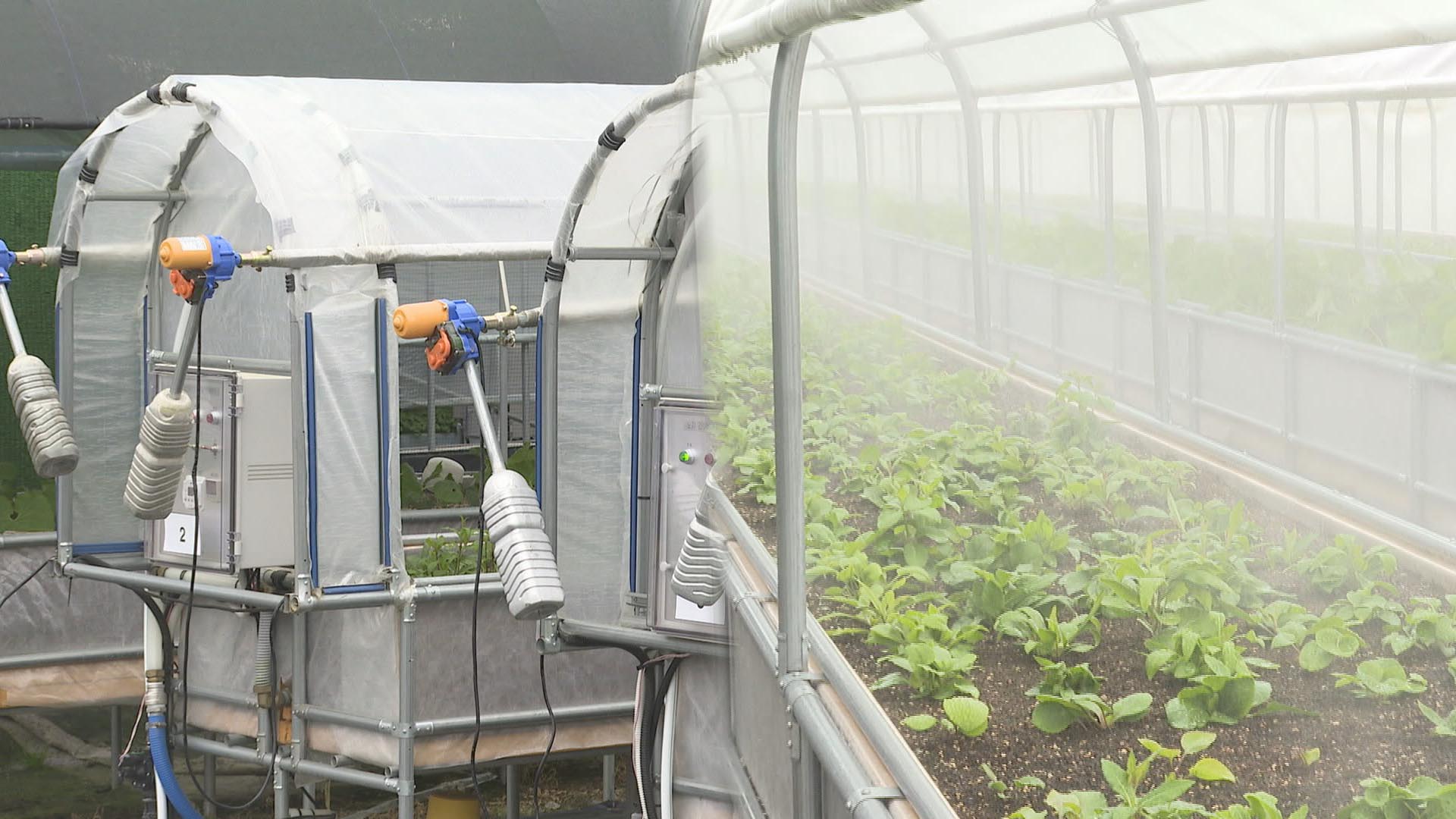 설치비 절반카지노 룰렛 사이트 뚝…가장 작은 스마트팜 장치 개발