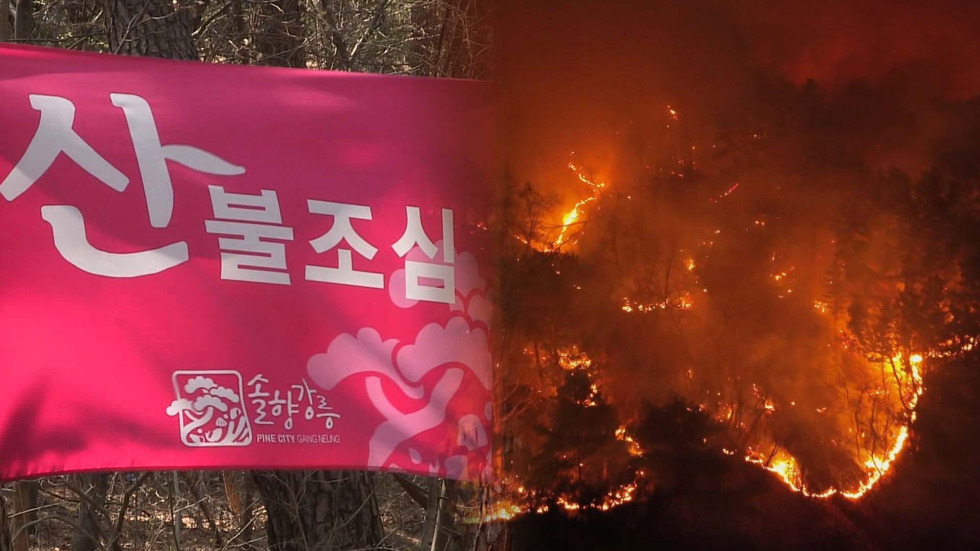 올해 대형 산불 없는 봄…'선거 낀 짝수 해' 징크스 깨나