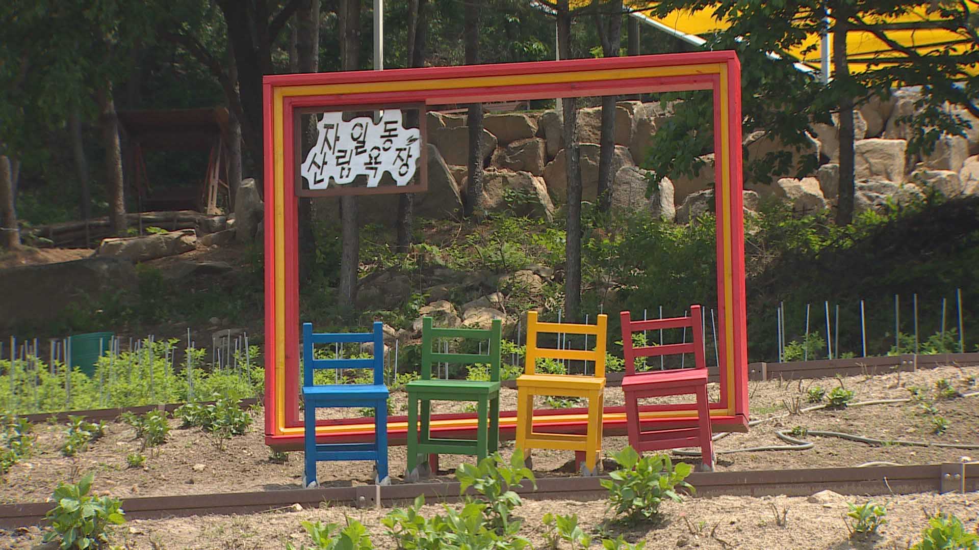 규제가 지켜준 숲에 도심 쉼터…'의정부 자사설 카지노림욕장' 개장