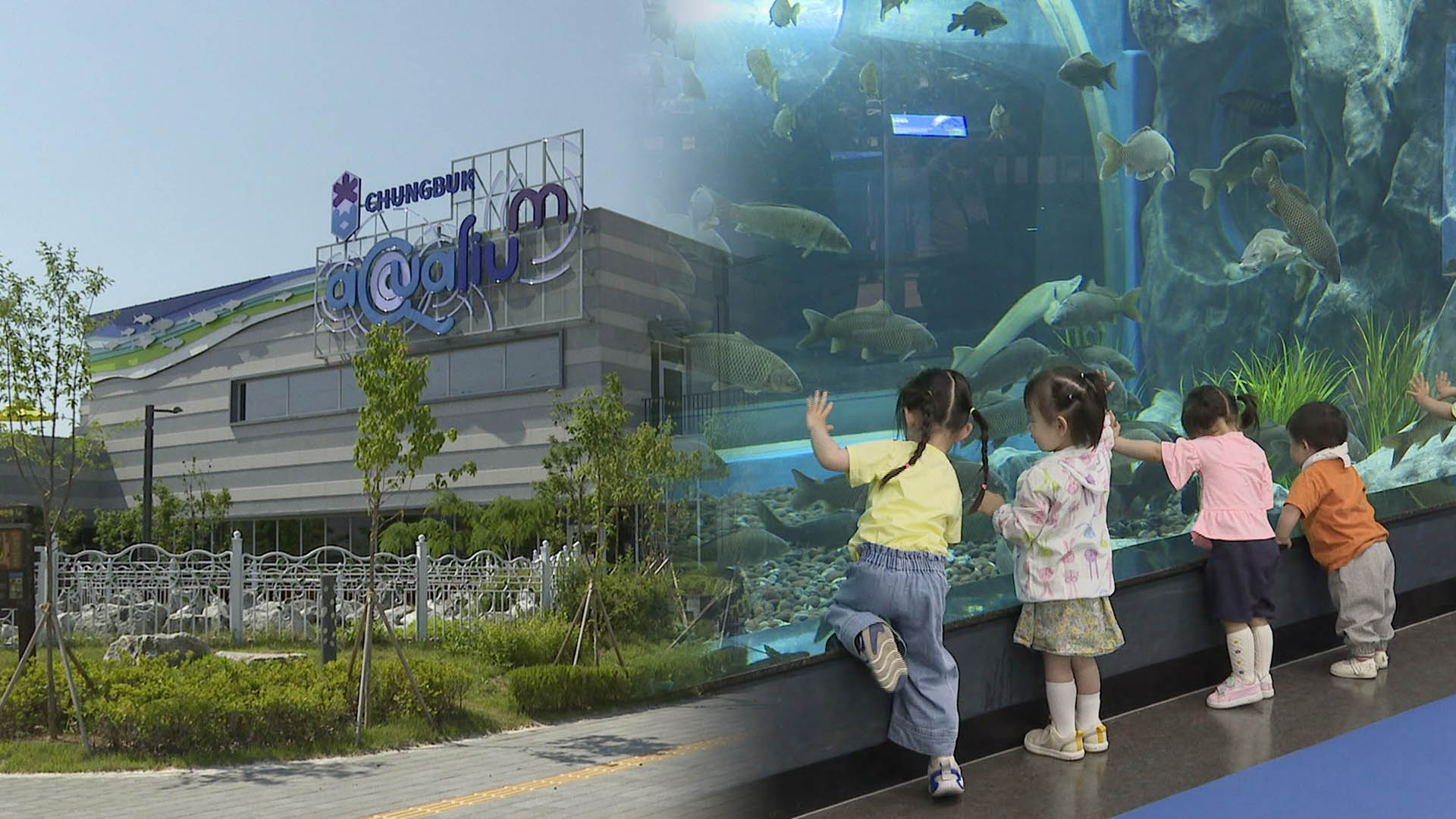 괴산 민물고기 아쿠아리움 개장…애물단지 수산파크 살리나