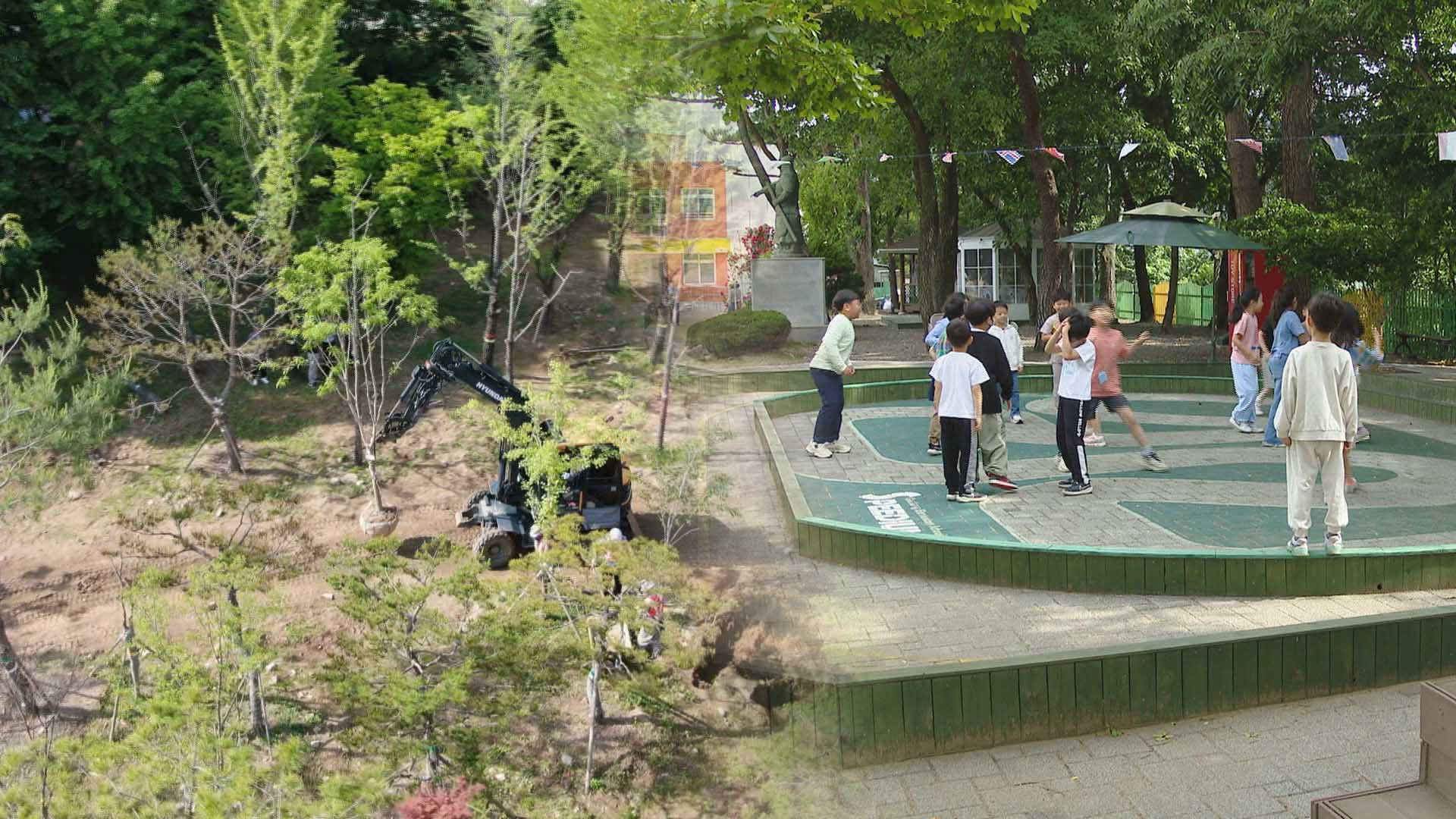 베어질 학교 나무에 제2의 삶을…'대구 학교나무은행'